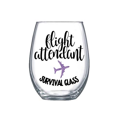 Funny Flight Attendant Gifts for Women Graduation Idea Stemless Wine Glass Present Her 0078